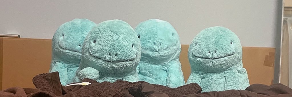 ぬーたろす's banner