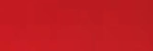 Camila's banner