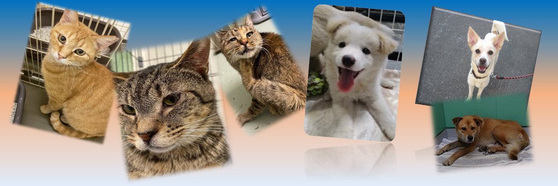 北海道動物愛護センター（あいにきた）'s banner