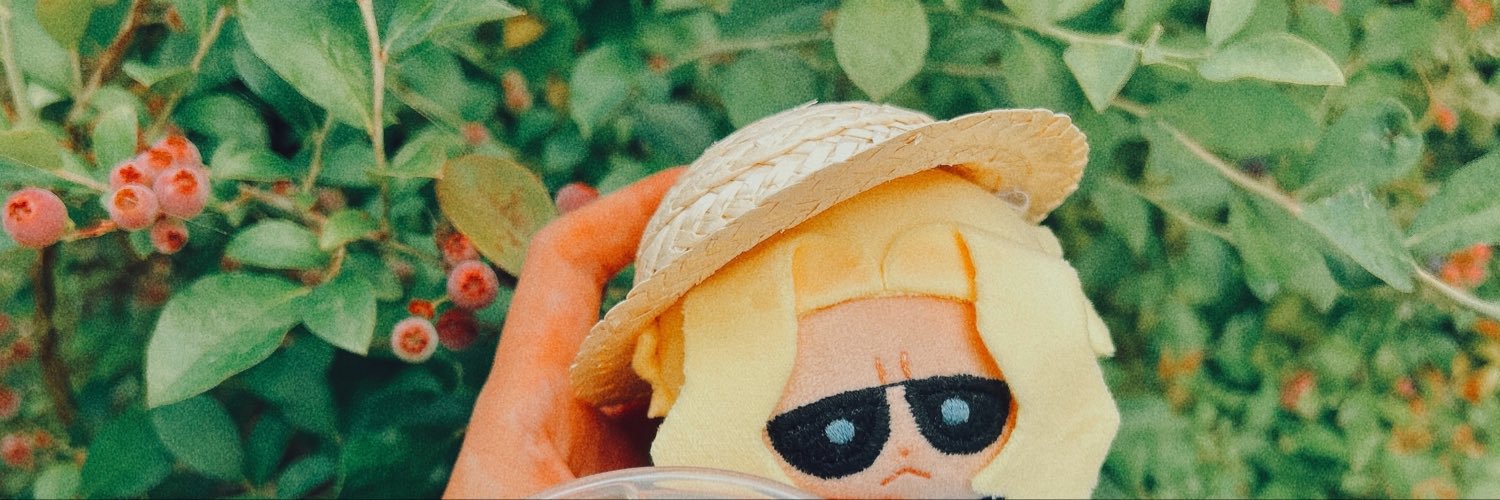 西's banner