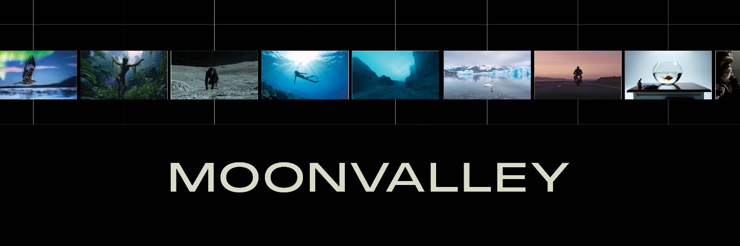 Moonvalley's banner