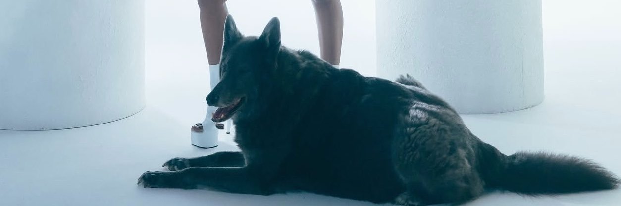 iSTAN🐺's banner