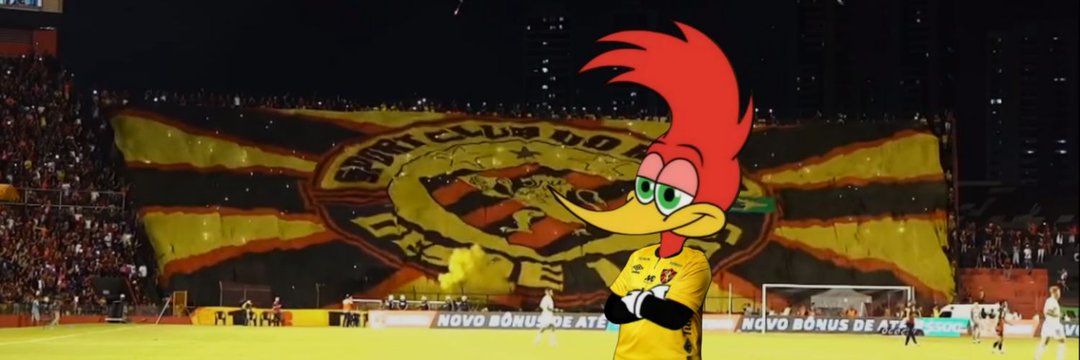 Pica Pau do Sport's banner