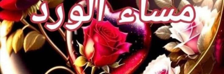 علي قلبي's banner