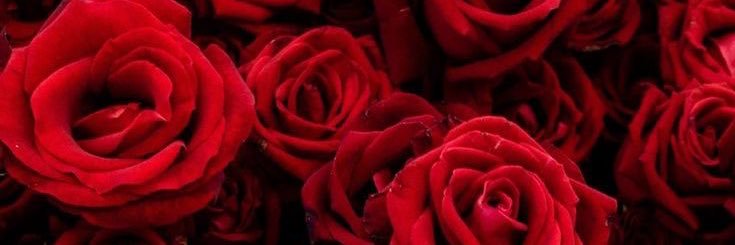 Samira Scorpio 🖤🦂💋's banner