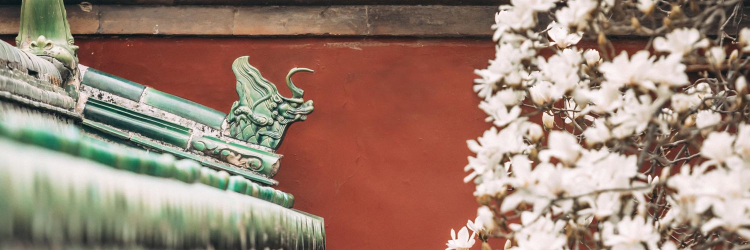 我吃麦当劳's banner