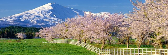 いはらまさたか/専業宅録ナレーター、宅録声優's banner