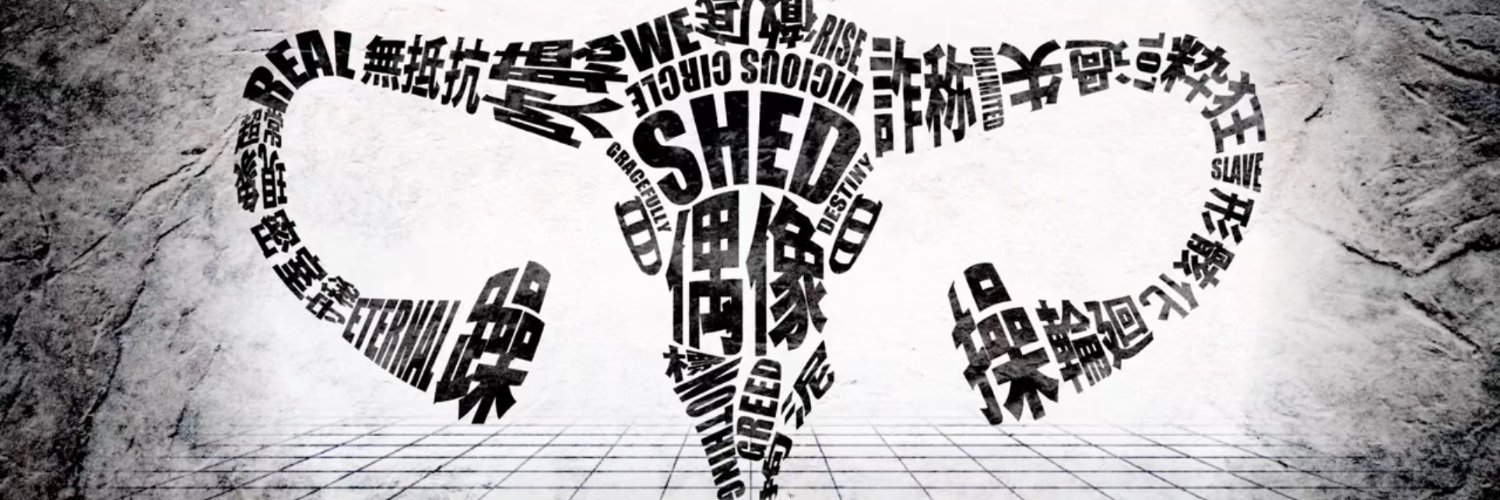 🪼异世界猕猴桃收藏家's banner
