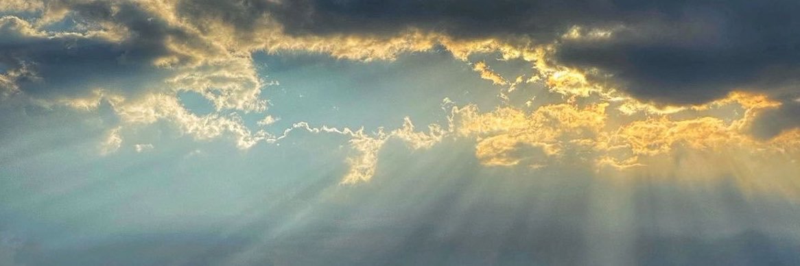 نوال's banner
