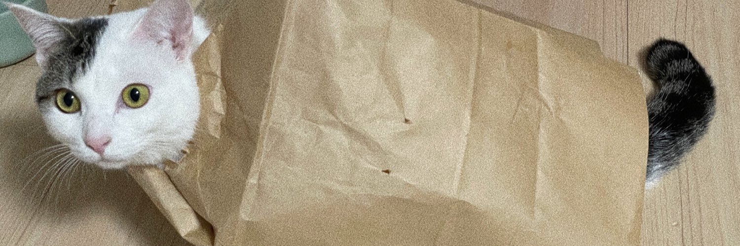 綱島えりか's banner