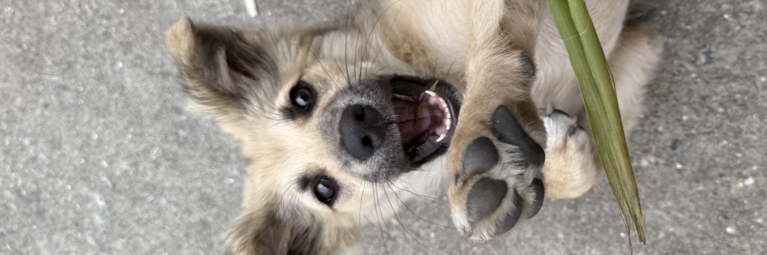 堕犬's banner