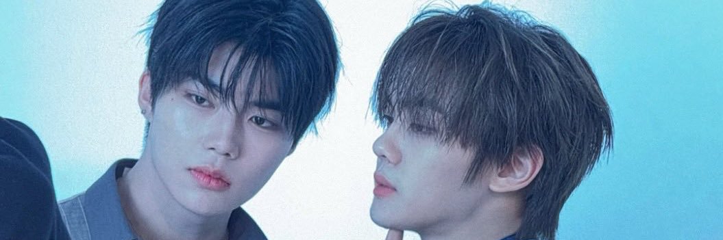 개털즈 🐶's banner