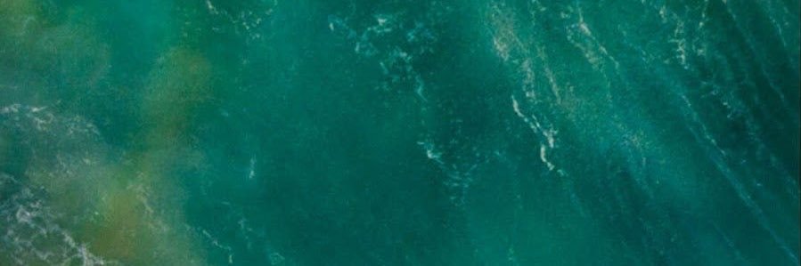 xpost's banner