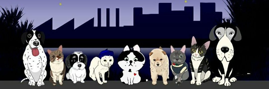 山路 徹　Toru YAMAJI's banner
