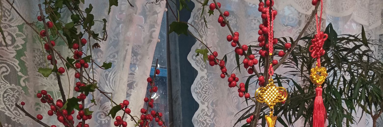 美少女壮士's banner