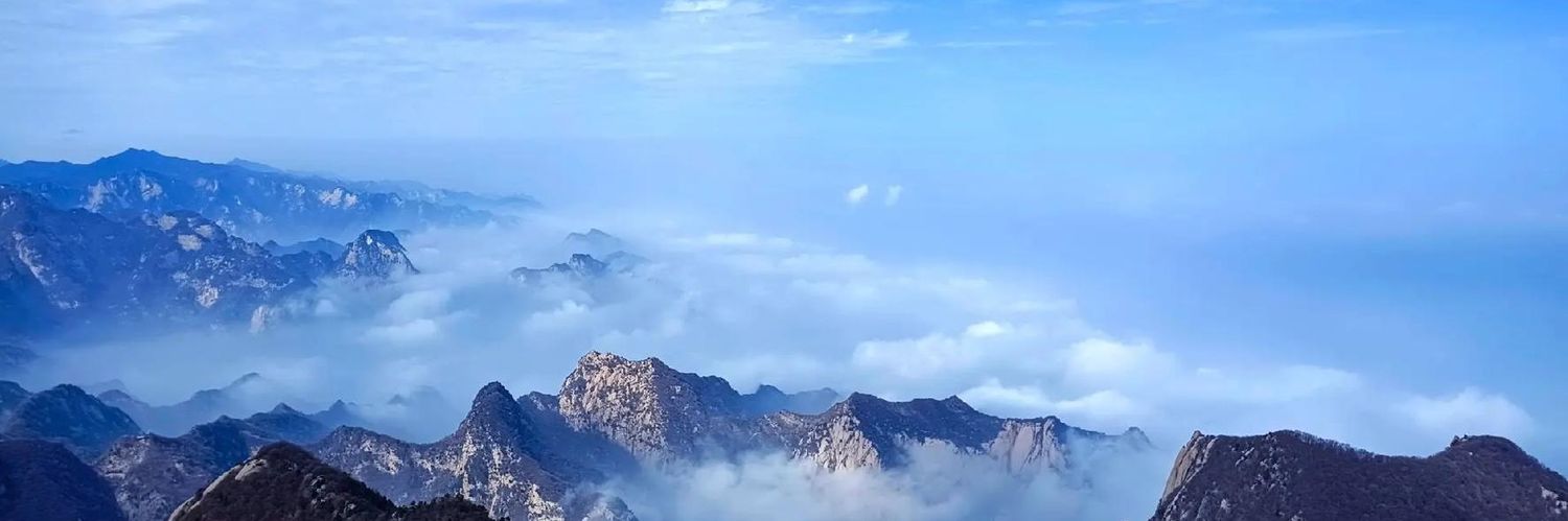 Mei Beile媚贝勒 （互fo％）'s banner