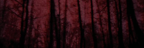 maemae's banner