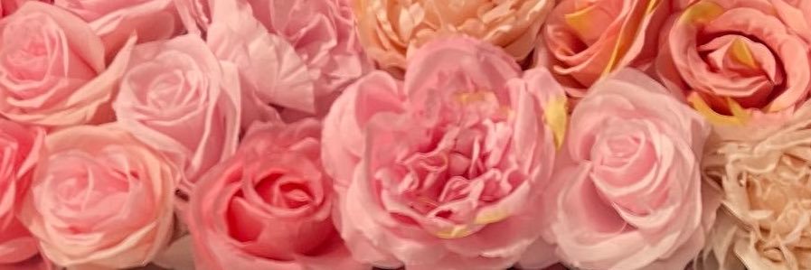 Elanna V 🍓's banner