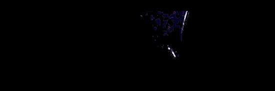 samuel's banner