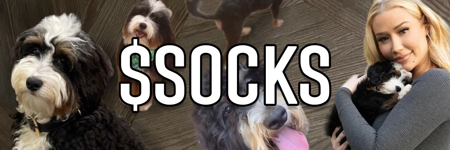 $SOCKS's banner