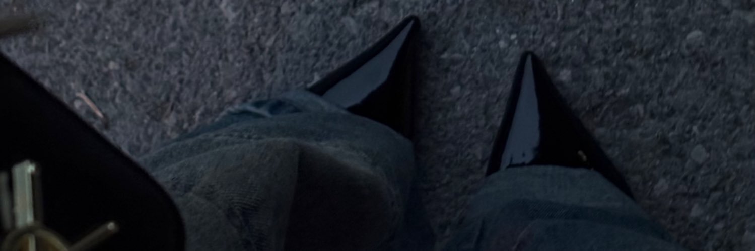 aida's banner