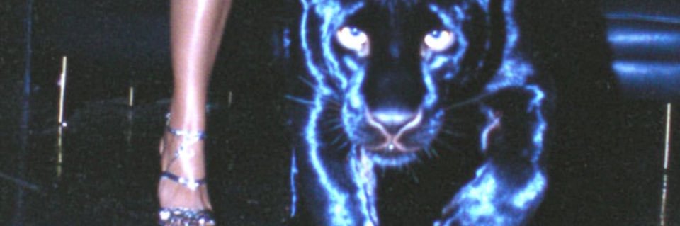 Jays's banner
