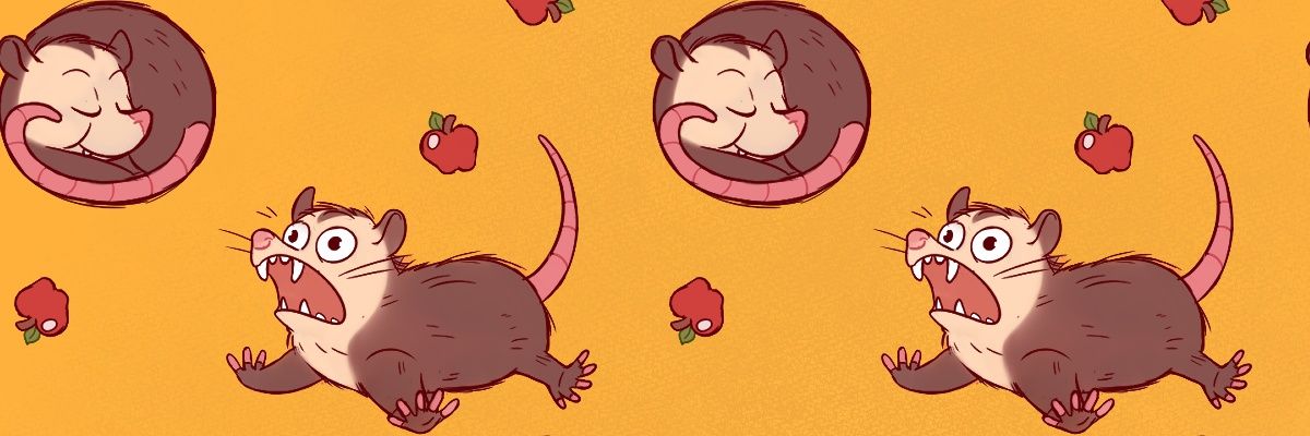 Oki Opossum 🐭's banner