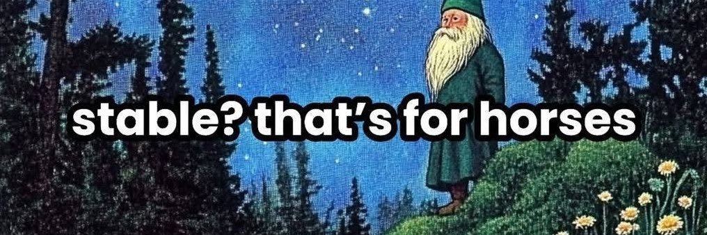 ₊‧ D I N ‧₊'s banner