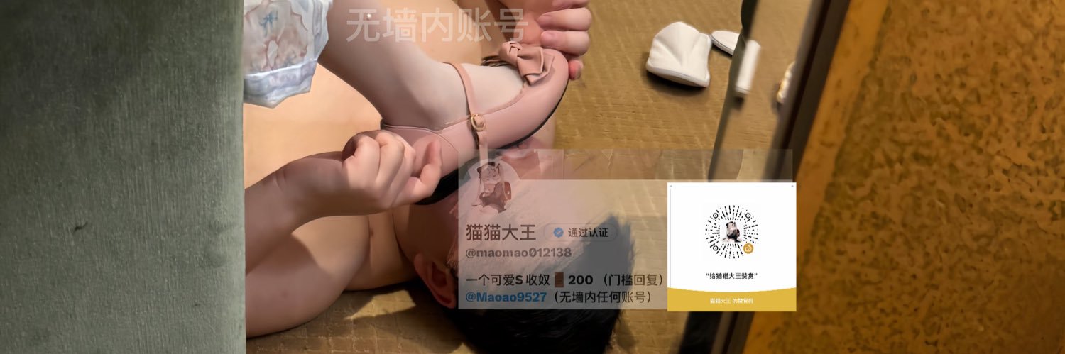 猫猫大王's banner