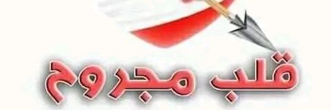 تالين الصنعانية's banner