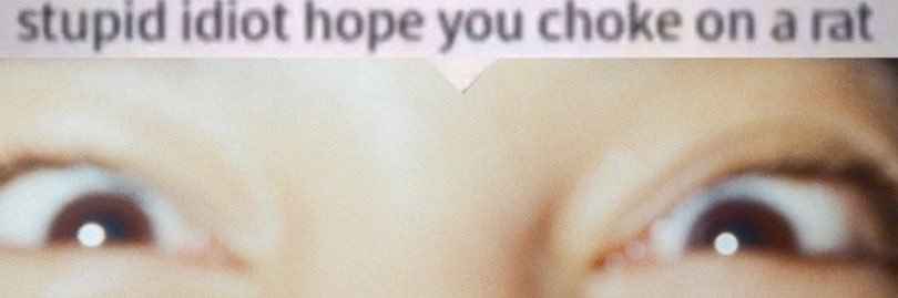 lou ✩'s banner