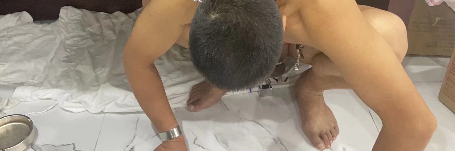 道乐's banner