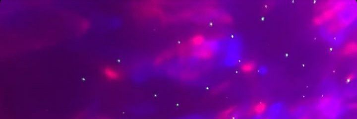 Sabrina's banner