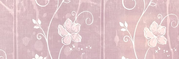 evie ≽(•⩊ •マ≼ rarijack akgae's banner