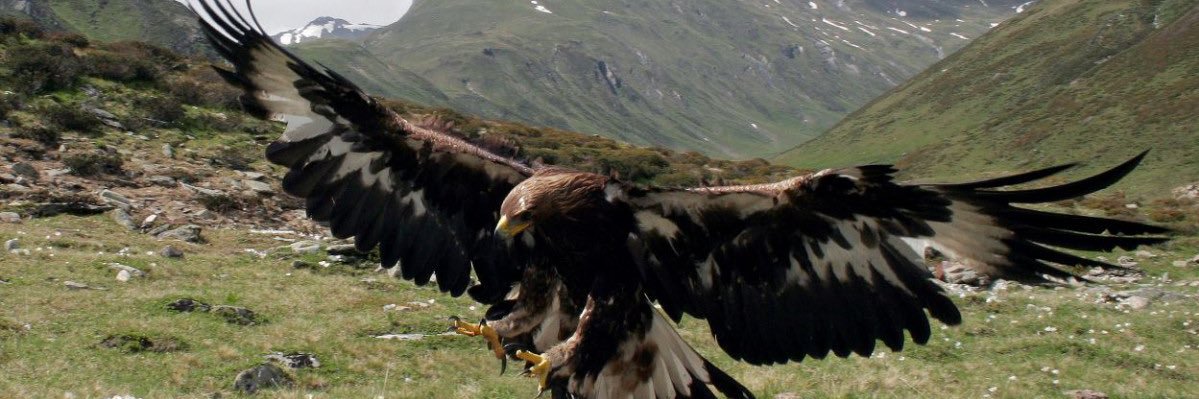 Mander sisch Zeit (alles nur Satire!)'s banner