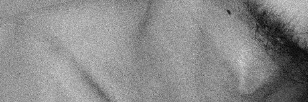 Erl's banner
