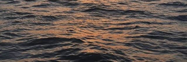 ☕𝑫𝑶𝑵𝑰𝑨🥀's banner