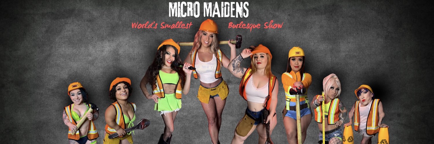 MicroMaidens's banner