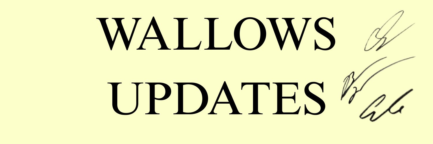 Wallows Updates's banner