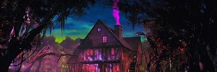 dara 🎃's banner