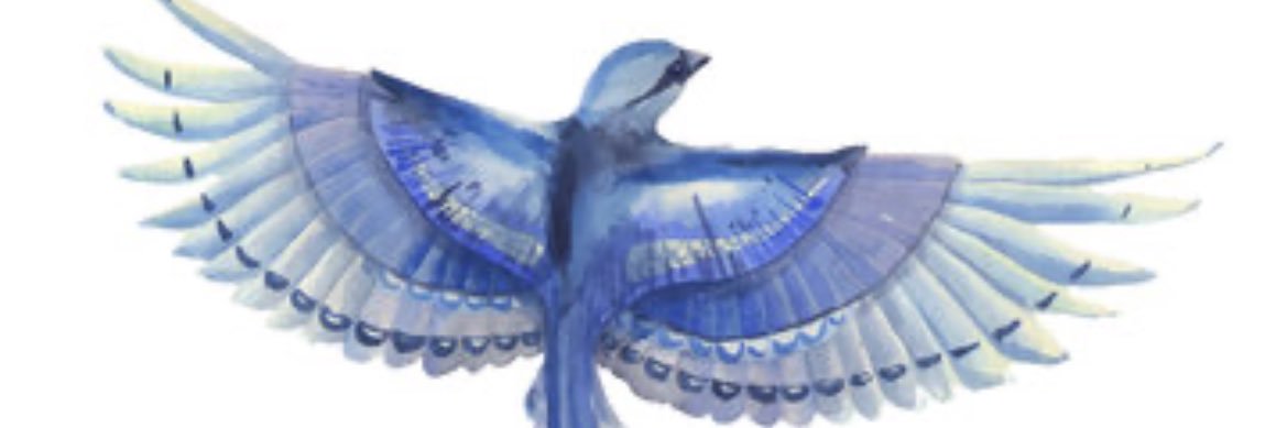 The Jewish Katniss's banner