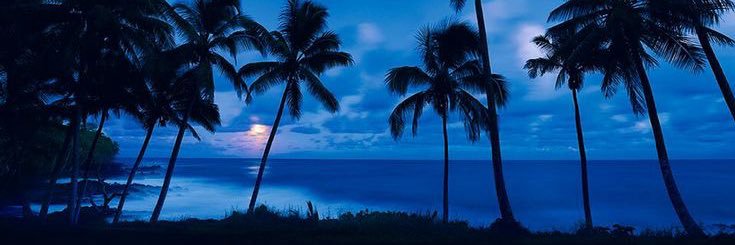 cejotinha's banner