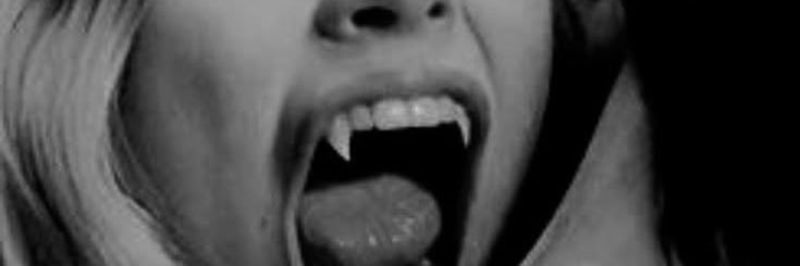 sapatao boêmia ✦🗡️'s banner
