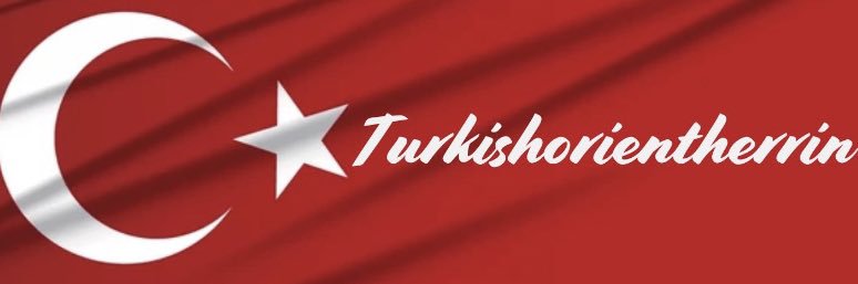 Turkishorientherrin 🇹🇷's banner