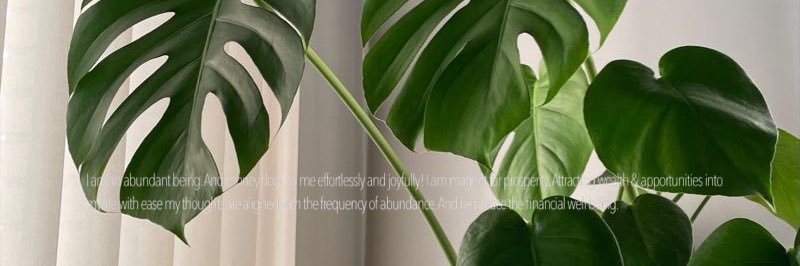 𝒜𝓃𝒾𝓀𝒶 💲's banner