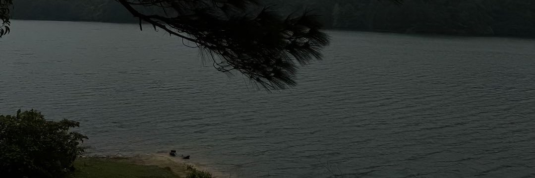Le Tuan Anh's banner