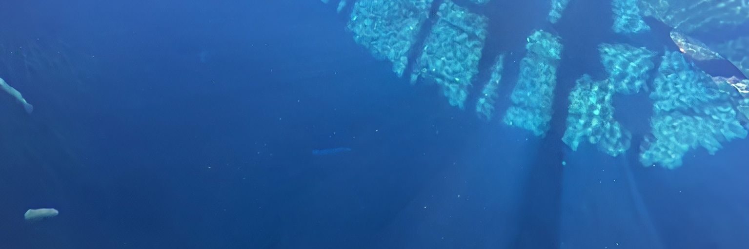 ほし's banner