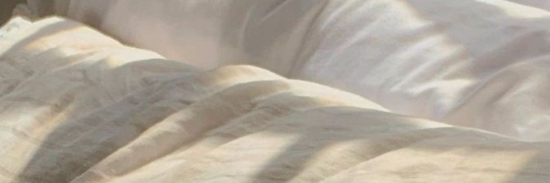 Sara's banner