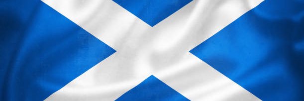 Big Steve's banner