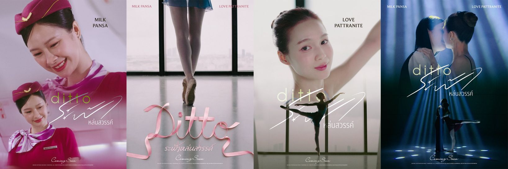 Kiko🦭🐳（REST）'s banner